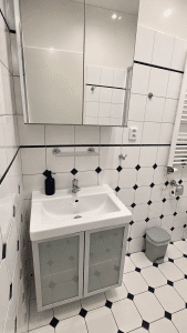 Nice Apartment Near River & City Center – Vyšehradská, Prague - Image 11